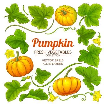 Pumpkin elements set Illustrazione stock