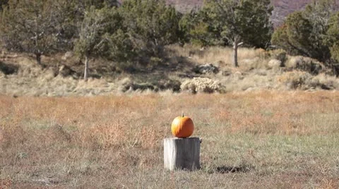 Pumpkin explodes high power rifle slow P HD 0471 Vídeos de archivo 8911306