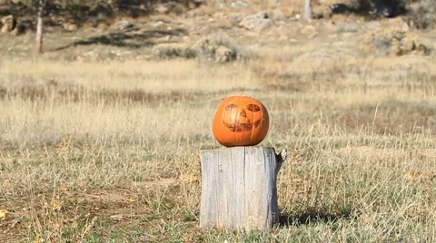 Pumpkin Explodes P HD 8061 Vídeos de archivo 914052