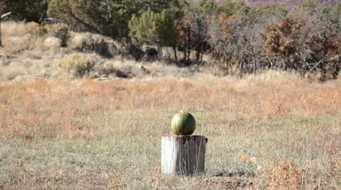 Pumpkin explodes by rifle P HD 0473 Vídeos de archivo 8911978