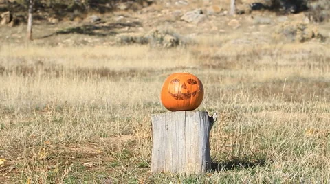 Pumpkin Explodes slow P HD 8061 Vídeos de archivo 914106
