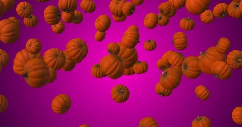 Pumpkin falling fuchsia pink Stock Footage 88161802