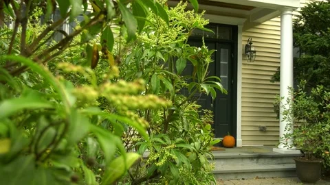 Pumpkin far focus leaves blur camera left Stock Footage 140886868