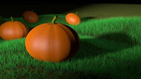 Pumpkin on the field. 3D rendering Stock Illustration