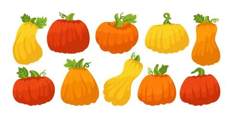 Pumpkin flat cartoon set ripe whole symbol vector Stock Illustration