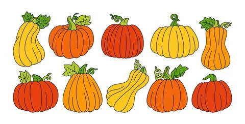 Pumpkin flat doodle set ripe whole symbol vector Illustrazione stock