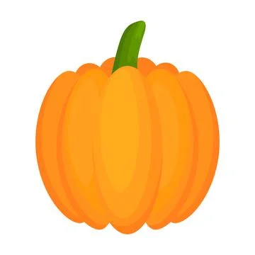 Pumpkin flat vegetable. Stock Illustration