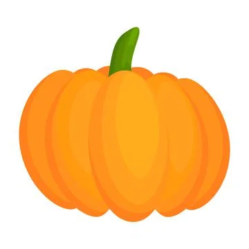Pumpkin flat vegetable. Stock Illustration