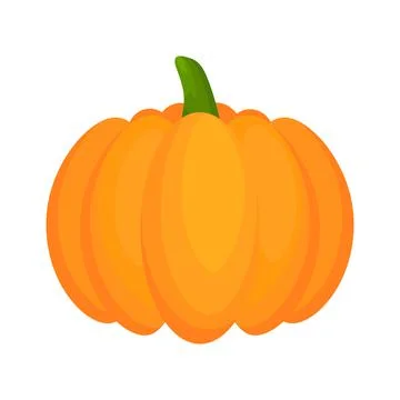 Pumpkin flat vegetable. Stock Illustration