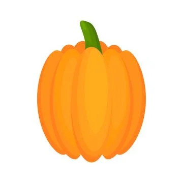 Pumpkin flat vegetable. Stock Illustration