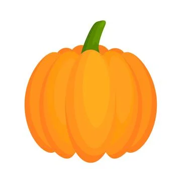 Pumpkin flat vegetable. Stock Illustration
