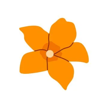 Pumpkin flower vector illustration isolated orange blossom botanical element Stock Illustration