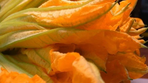Pumpkin flowers Stock-Footage 112824954