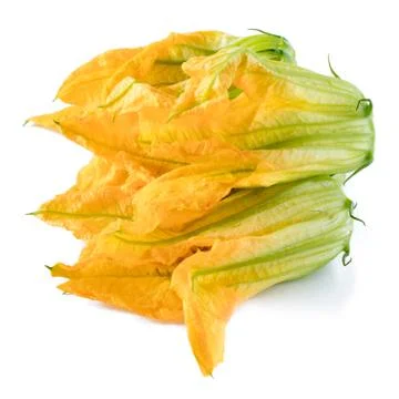 Pumpkin Flowers 库存照片