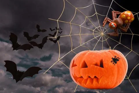 Pumpkin fly spider on the web a flock of bats for the Halloween holiday Stock Photos