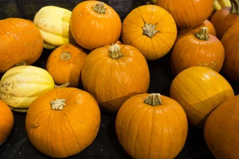 Pumpkin in food store Stock Photos
