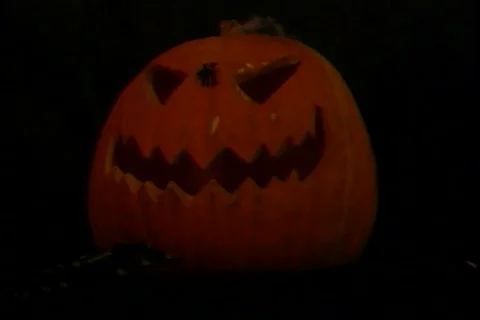 Pumpkin 库存影片 273722