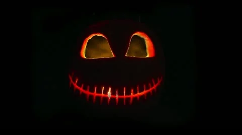 Pumpkin 動画素材 13974358