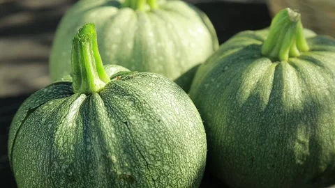 Pumpkin Video stock 139557959