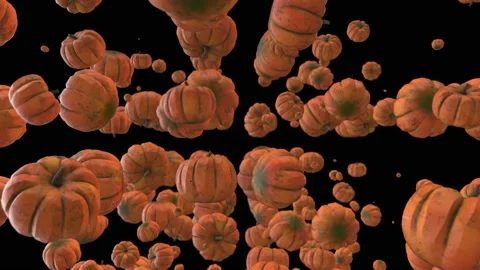 Pumpkin Vidéo 146732372