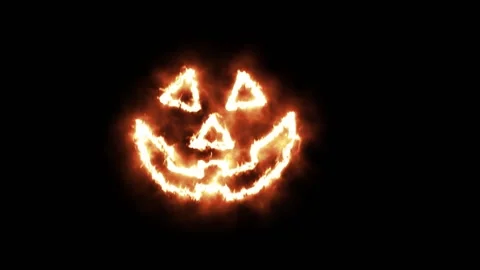 Pumpkin Stock Footage 223153889