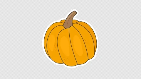 Pumpkin Stock Footage 336665134