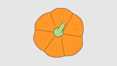 Pumpkin Stock Footage 338999791