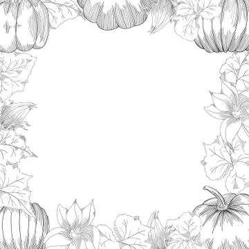 Pumpkin frame vector drawing set. Isolated hand drawn object with sliced and Stock Illustration