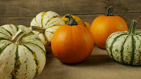 Pumpkin. Freshly baked pumpkin pie. copy space. Stock Footage 160571047