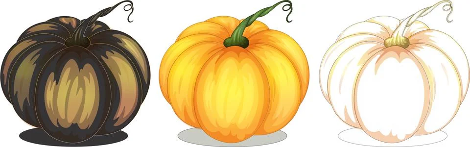 Pumpkin fruit design illustration Vector Stock Illustration