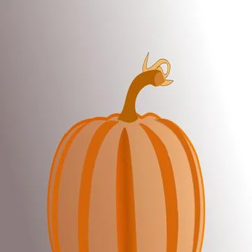 Pumpkin Fruit Stock Illustration