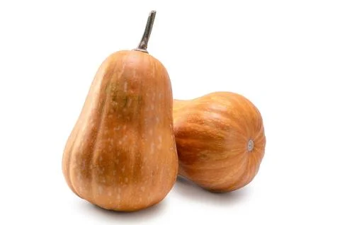 Pumpkin fruit 스톡 사진