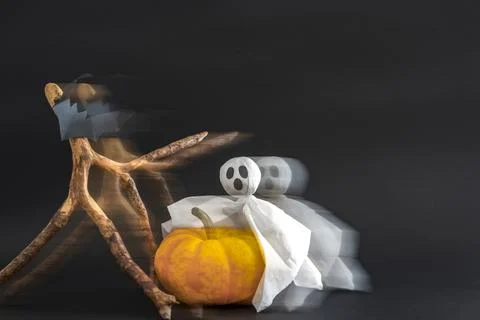Pumpkin, ghost, bats on black background with blur effect. Copyspace Stock Photos