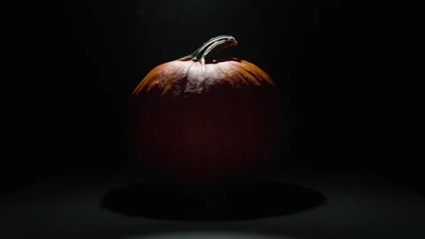 Pumpkin Glowing in Dark Mysterious Studio Light for Autumn Seasonal Celebration 库存影片 331110461