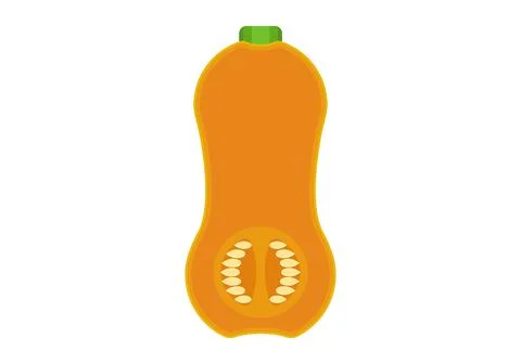 Pumpkin. Gourd. Vector graphics on a white background. Stock Illustration