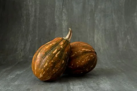 Pumpkin on grey background Stock Photos