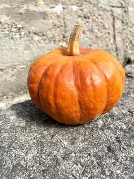 Pumpkin on grey concrete background. Stock Photos