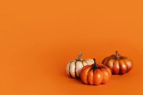 Pumpkin Group on orange background copy space for your text Stock Photos