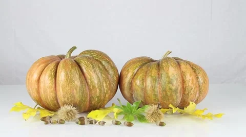 Pumpkin for Halloween in autumn Stockbeeldmateriaal 66429804