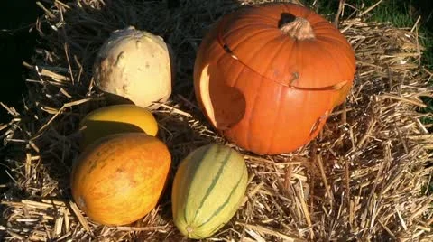 Pumpkin-halloween-feast Stock Footage 21234155