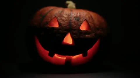 Pumpkin for Halloween Stock Footage 19279608