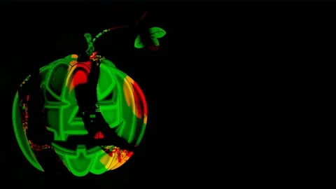 Pumpkin for Halloween Stock Footage 158911724