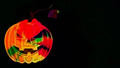 Pumpkin for Halloween Stock Footage 158911839