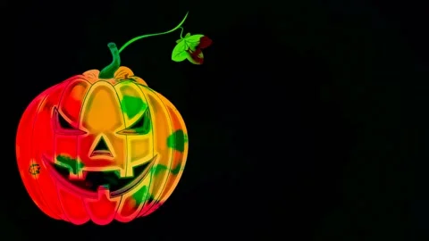 Pumpkin for Halloween Stock Footage 158911869