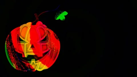 Pumpkin for Halloween Stock Footage 158911876