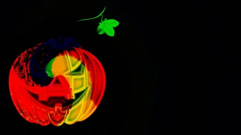 Pumpkin for Halloween Stock Footage 158911895