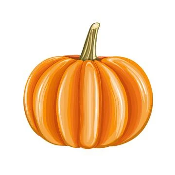 Pumpkin Haloween Isolated Stock Illustration