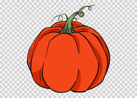 Pumpkin hand draw brush paint style isolated on png or transparent texture,Ha Stock Illustration