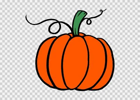 Pumpkin hand draw brush paint style isolated on png or transparent texture,Ha Stock Illustration