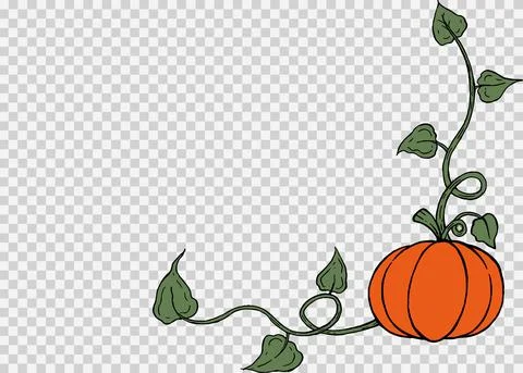 Pumpkin hand draw brush paint style isolated on png or transparent texture,Ha Stock Illustration